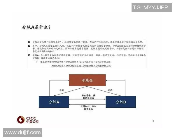 重磅专题:上海排球队的转换革新 重磅专题:上海排球队的转换革新